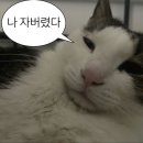 소소한 행복 이미지