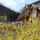 체르맛트2 이미지