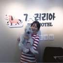 개러리아 이미지