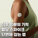 장전주유소 | [혈당 다이어트 완벽 가이드] 식후 걷기의 과학적 원리부터 운동 전 탄수화물 섭취의 중요성까지...
