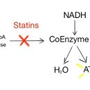 경화약국 이미지
