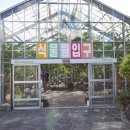 평안꽃식물원 | 제주시 가볼만한곳 미포집 애월 '미녀해물장'의 매력