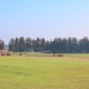 해맞이해안로 이미지