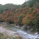 철암초등학교 이미지