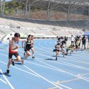 미르스타디움19 이미지