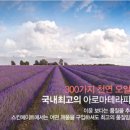 스킨솝 이미지