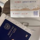 카리노호텔 | 고난이도 상하이여행 리얼후기 고고우🇨🇳 동방항공 가성비호텔 로밍 맛집 양꼬치 게살국수 야경 카페추천...