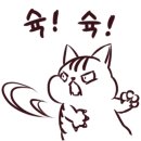 라이팅플러스