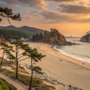 바다가머무는집 | 태안 여행 코스 추천 – 바다, 꽃지해수욕장, 일몰까지 완벽 정리