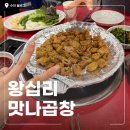맛나곱창 | 왕십리역 맛집 추천 조금 아쉬웠던 '왕십리맛나곱창' 내돈내산 후기
