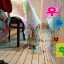 장우진동물병원 이미지