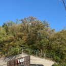 GS25 용마파크 이미지