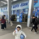 정관장화성 | 여자배구직관후기 : 인쿠시 정관장 vs IBK기업은행 알토스 화성실내경기장