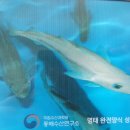 &#34;강릉 &#39;동해수산연구소&#39;를 찾아서...&#34; 이미지