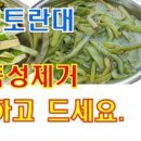 토란대 말리기 효능 독성 이미지