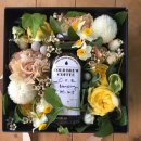 커피 플라워 이미지