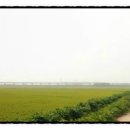 송탄농협고덕지점 이미지