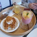 포항 풀빌라 프레젠트 이미지