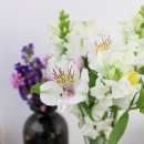 커피고래 이미지