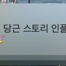 당플 이미지