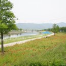 강변길 서천 이미지