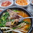 동강염소 이미지