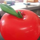 솔안초등학교 이미지