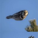 오크하우스 이미지