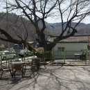 시골밥상 고리울추어탕 | 부모님 모시고 가기 좋은 가수원동 맛집 느티나무집, 시래기 솥밥정식 후기