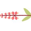 대도중학교 이미지