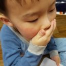 [맘스홀릭지후맘/뉴트리션라이프]아토피아이도 안심하고 먹는 애니멀퍼레이드비타민!