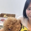 철길부산집영통