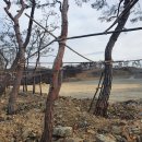 (주)세움 이미지