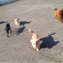 호텔아일랜드 이미지