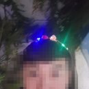6519 | 명동 미샤 아일랜드 가본 후기