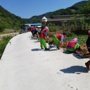 영신마을 이미지