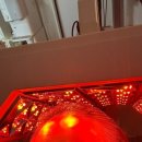 시청로 2(버스정류장) | 출산 후 두피 변화로 방문한 닥터포헤어 광명점 솔직 후기