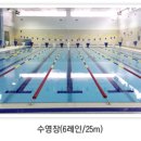 속초국민체육센터(수영장) | 속초국민체육센터 실내수영장