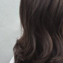 살롱고고 네이버블로그