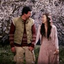 너는내운명 이미지