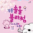 솔올공연장 이미지