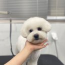 개스트하우스 이미지