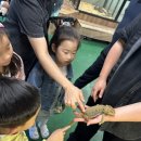 우럭농장 이미지