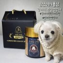 금산고려수삼연쇄점 | [금산이가홍삼] 15살 노견 콩이도 반한 #고려흑삼펫 #강아지영양제추천 후기