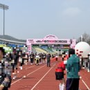 합천군청 2청사 | [2026년 합천벚꽃마라톤대회 코스 후기]