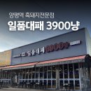 3900 | 양평에서 찾은 가성비 끝판왕, 일품대패 3900냥 다녀온 후기