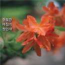 행복한아침 이미지