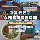 주민 어울림 광장체조 | 연천축제 수레울어울림축제를 다녀오다.