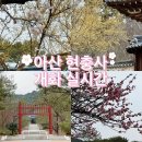 와이제이(YJ)자동차공업사 | 아산 가볼만한 곳 | 현충사 벚꽃 홍매화 개화 현황