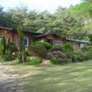 황토와 통나무 캠핑장 이미지